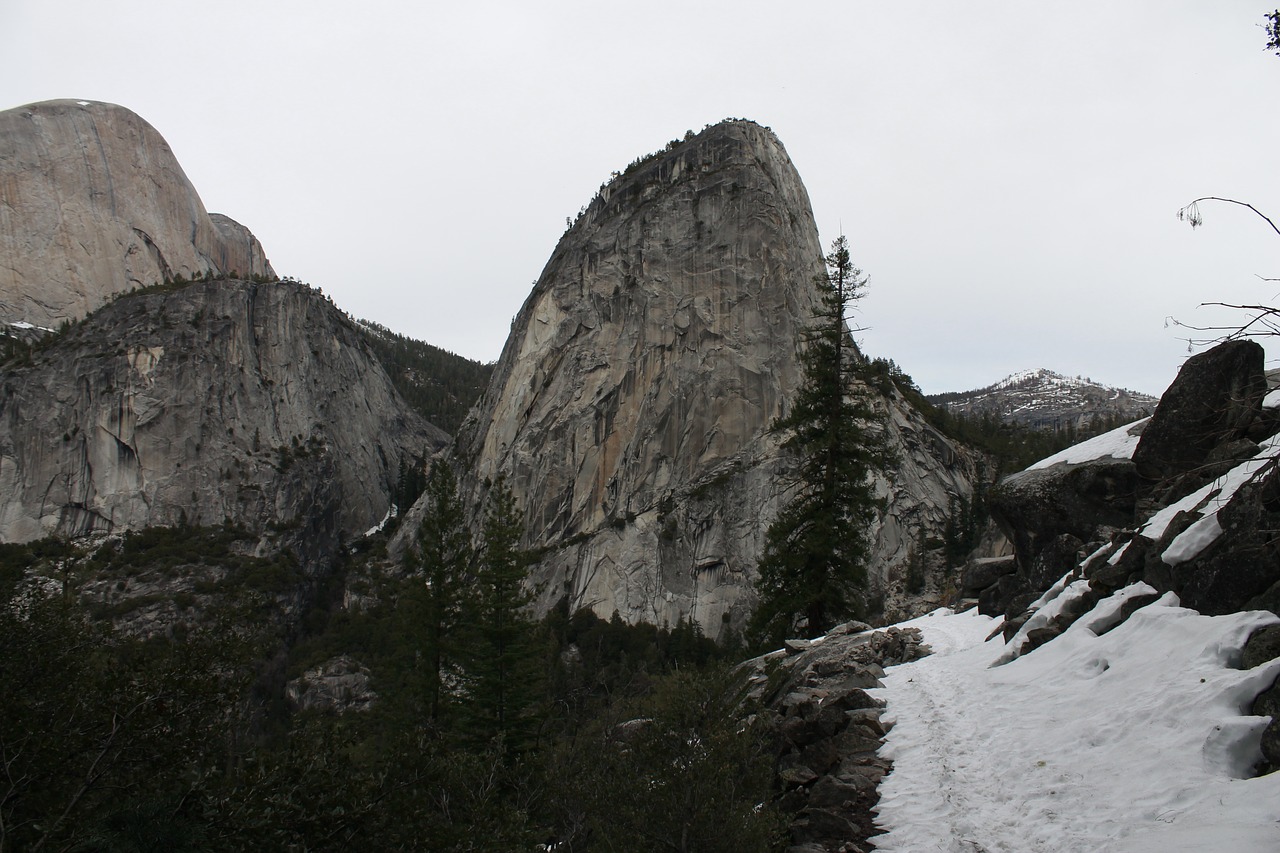 yosemite forest park free photo