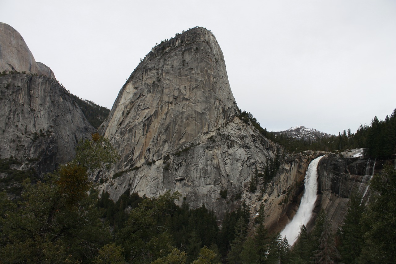 yosemite forest park free photo