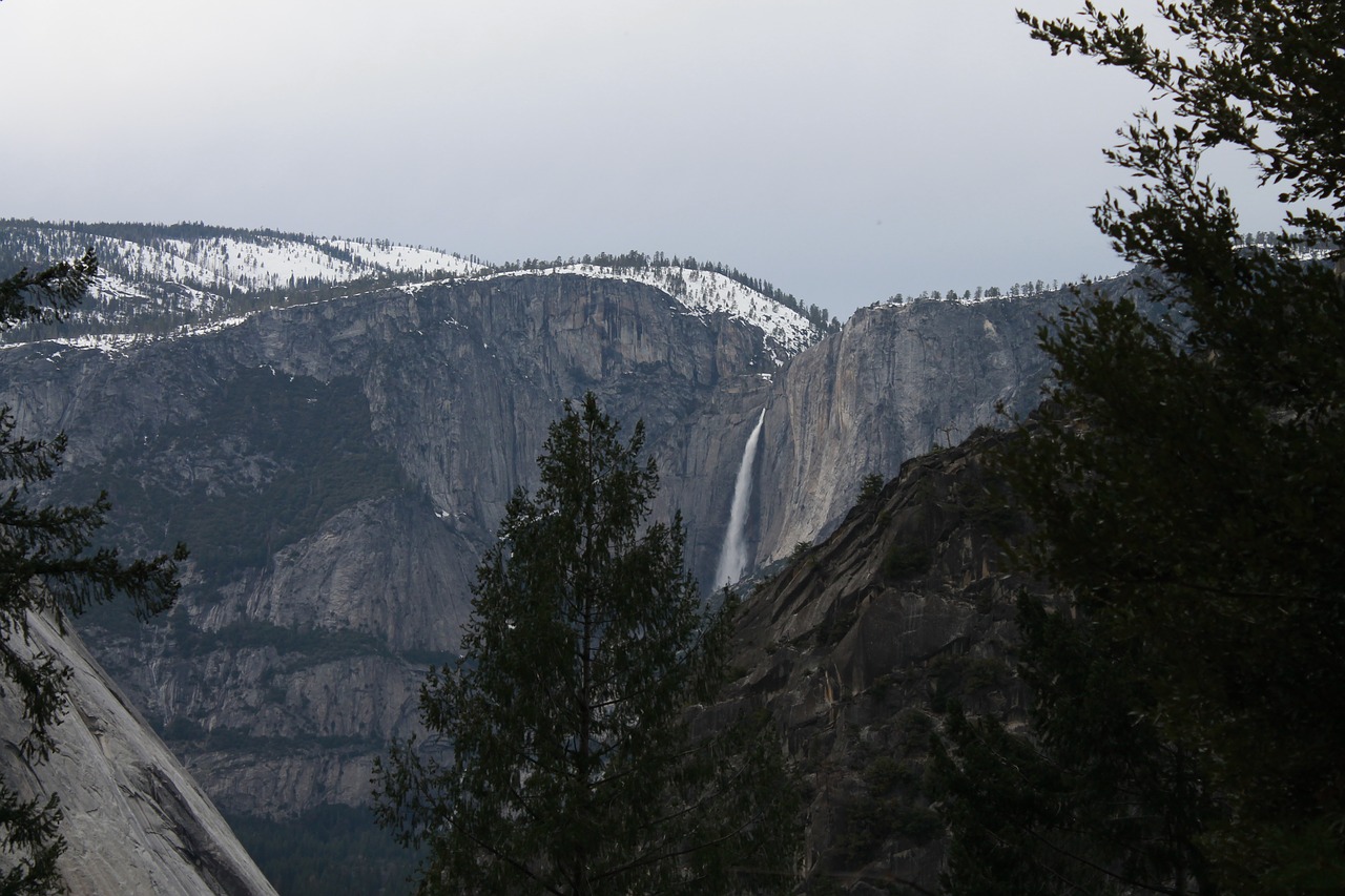 yosemite forest park free photo