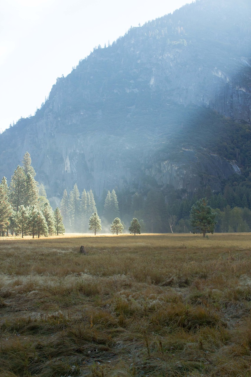 yosemite mist field free photo