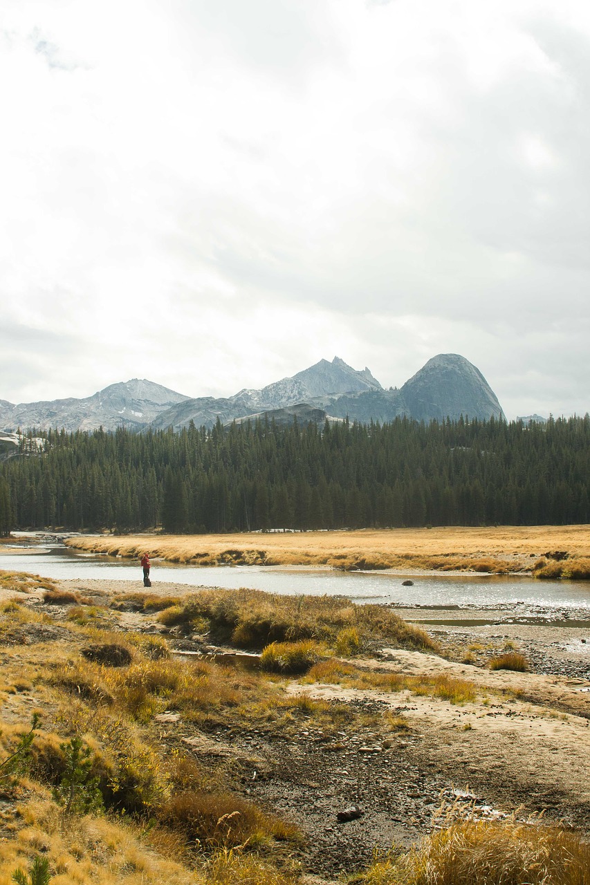 yosemite cathedral river free photo