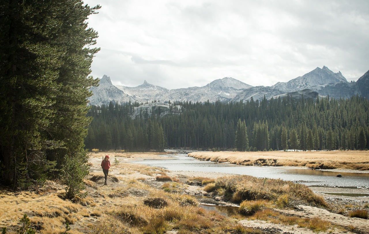 yosemite wilderness river free photo