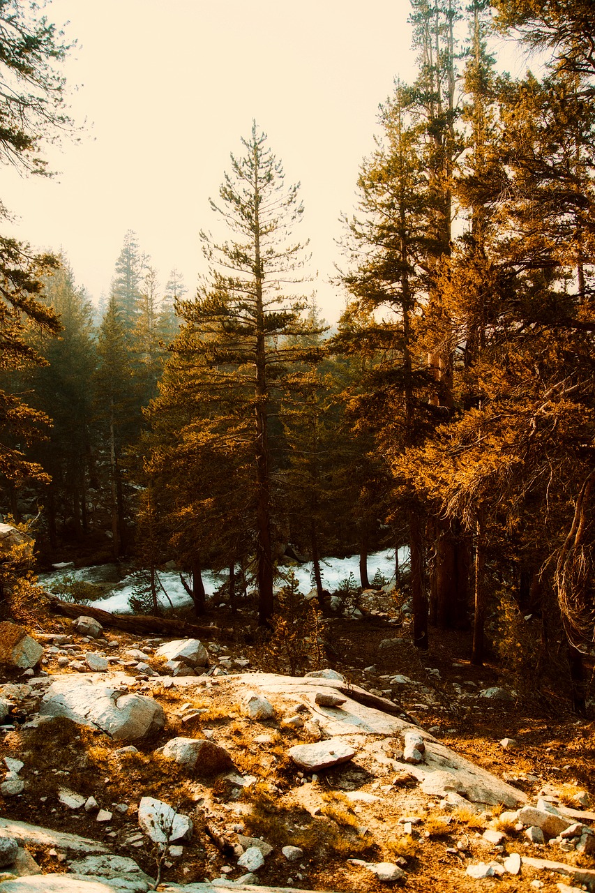 yosemite national park california free photo