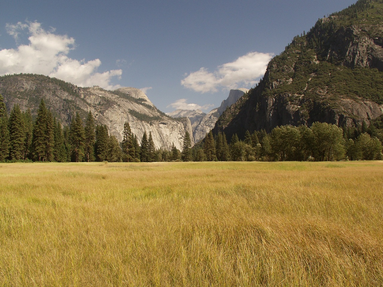 yosemite national park valley free photo