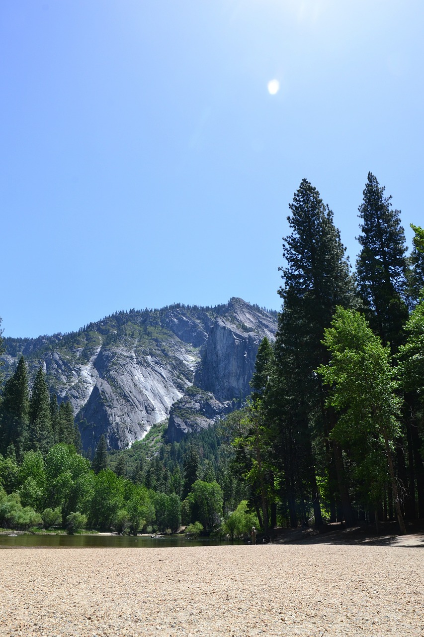 yosemite california forest free photo