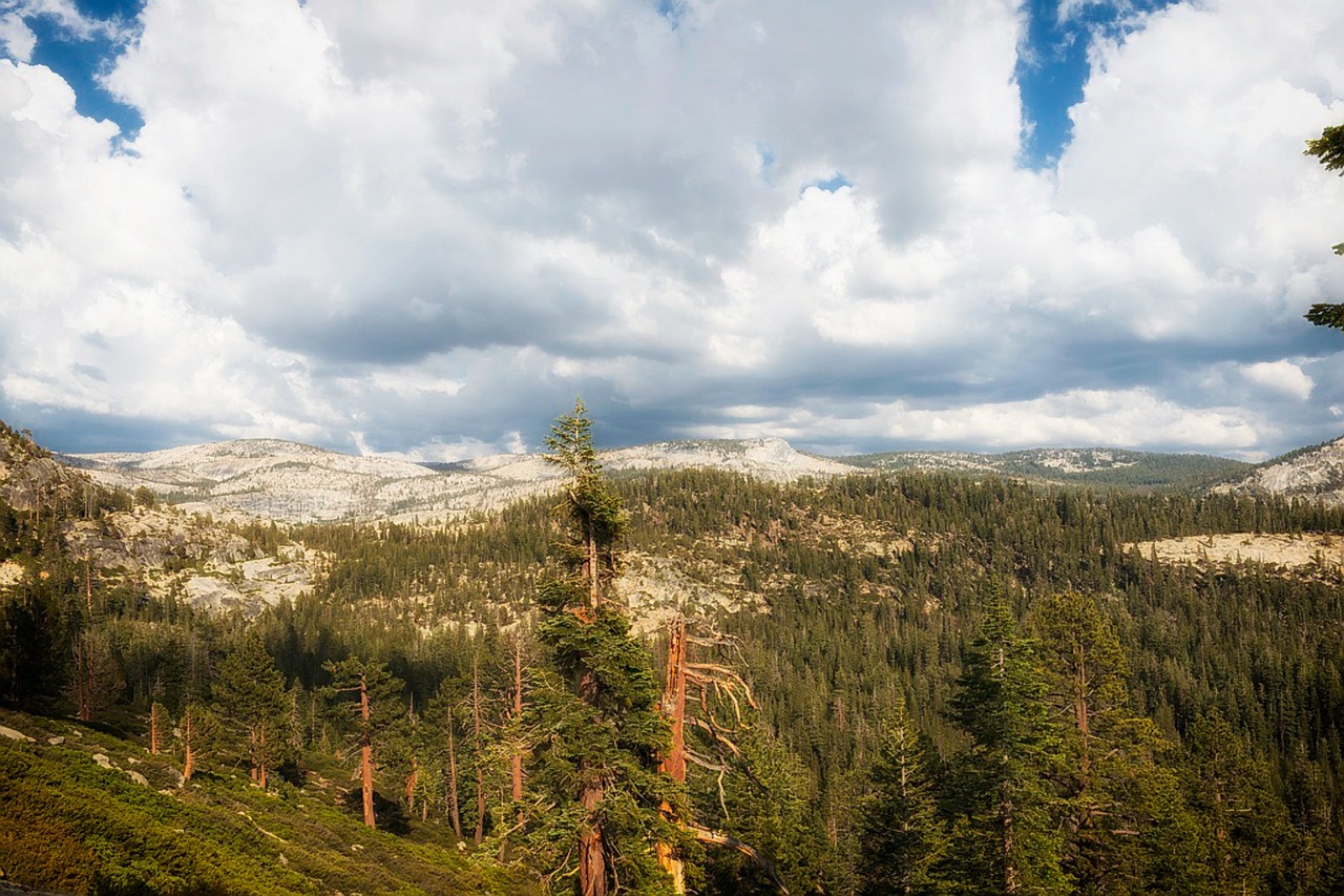 yosemite national park mountains free photo