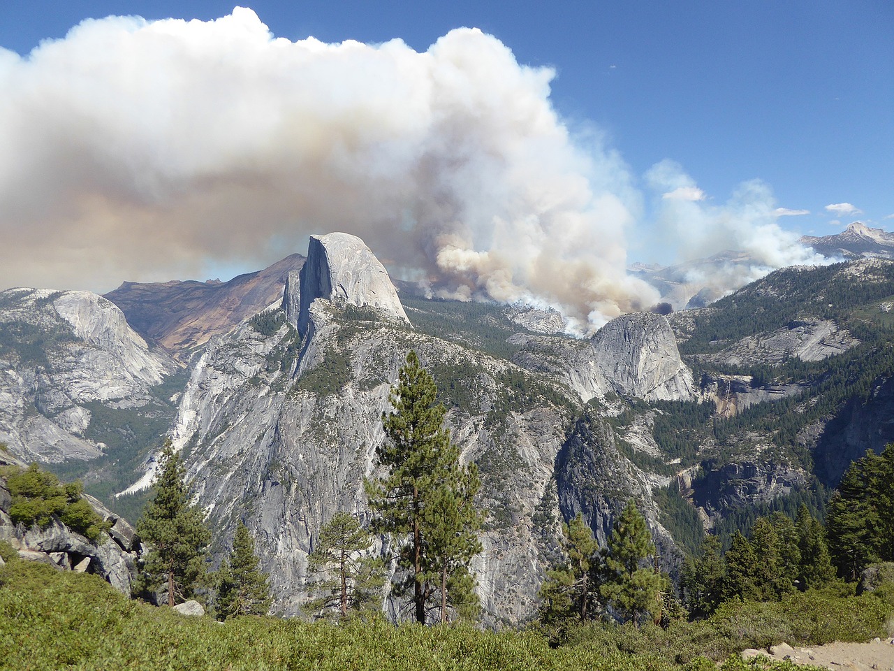 yosemite forest fire national park free photo