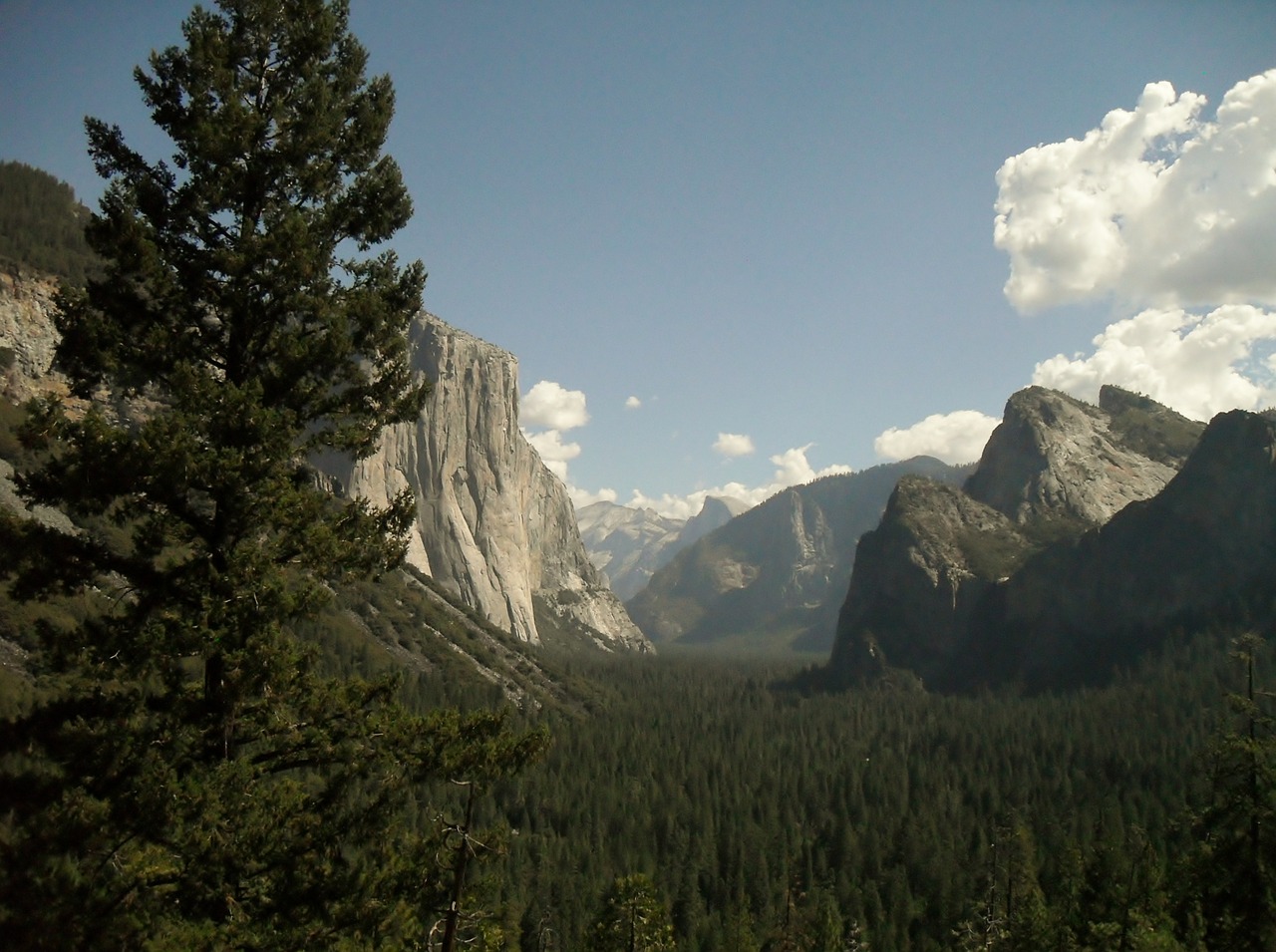 yosemite national park nature mountains free photo