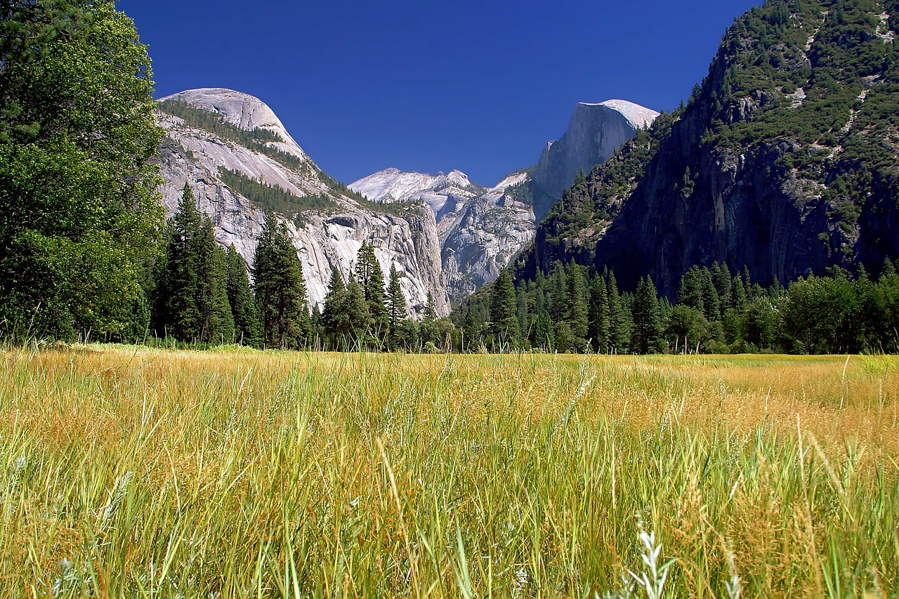 yosemite national park landscape field free photo