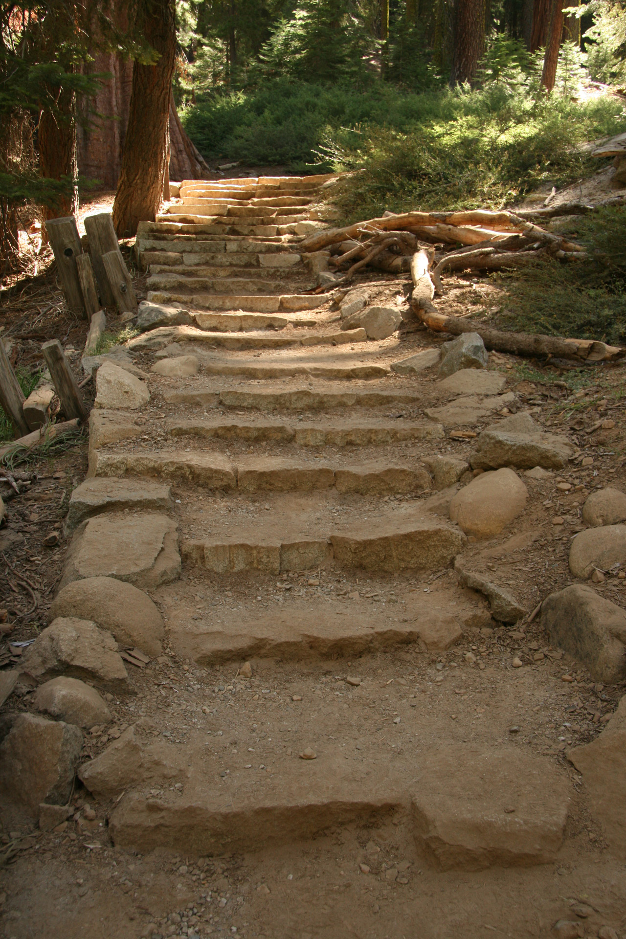 yosemite stairs trail free photo