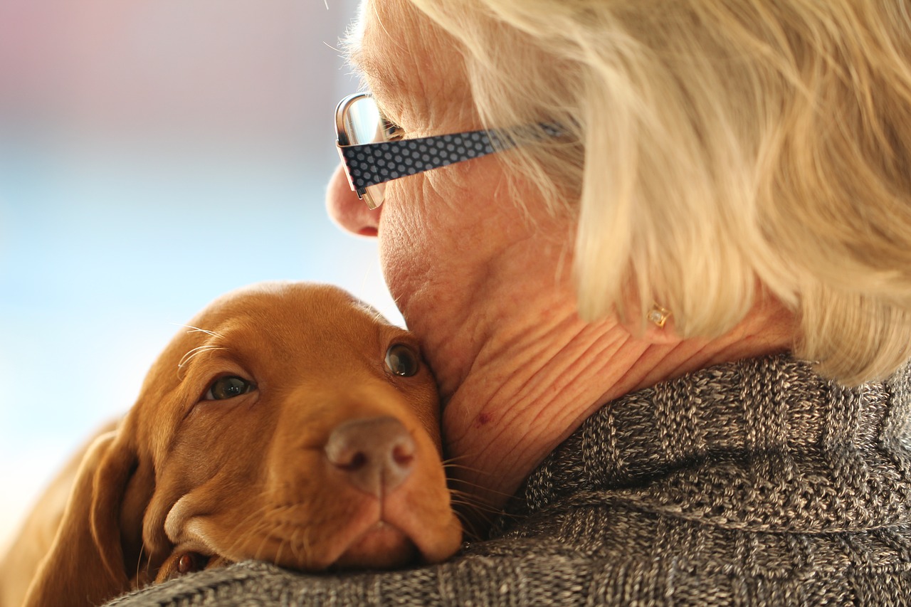 young old puppy free photo