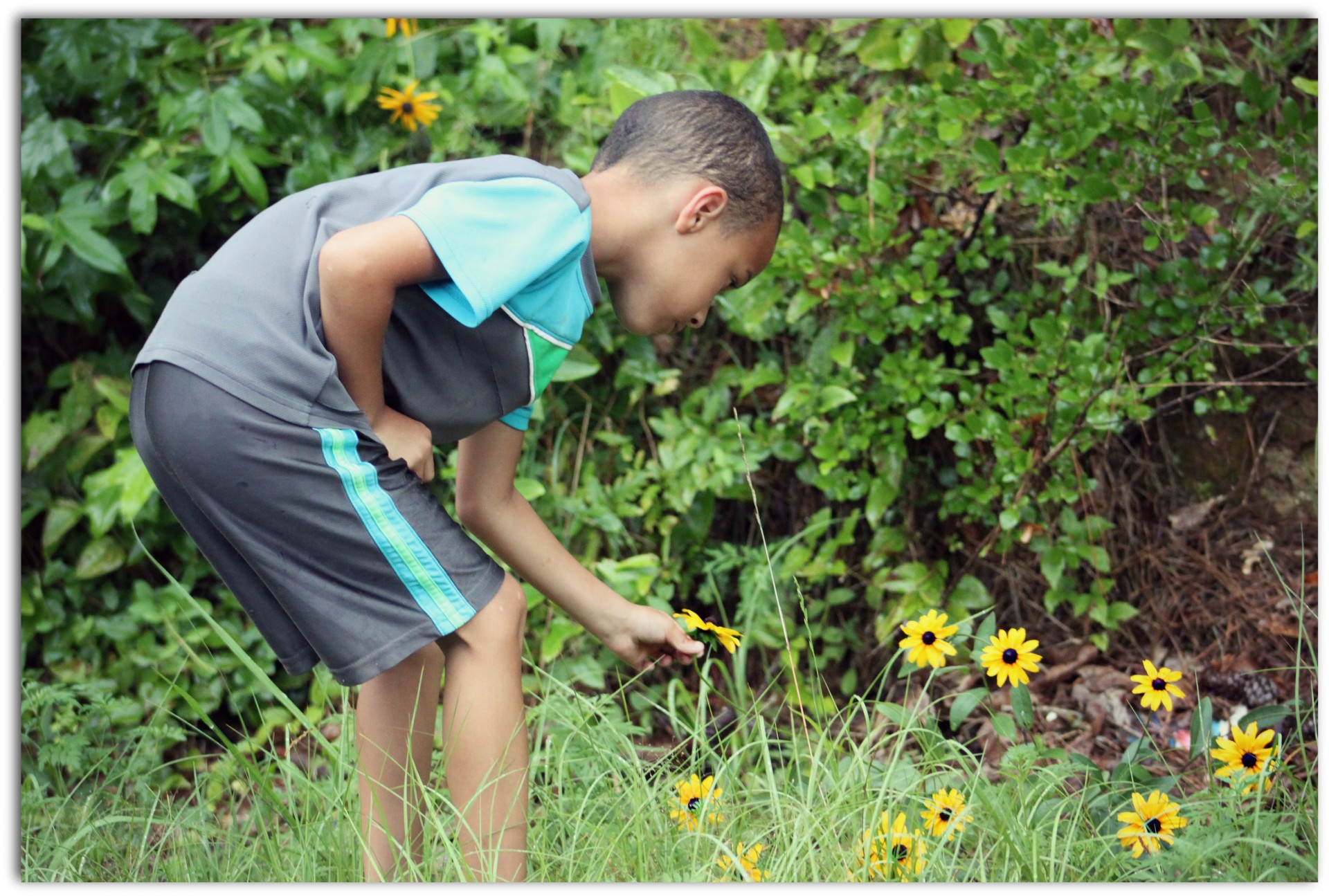 young boy flowers free photo