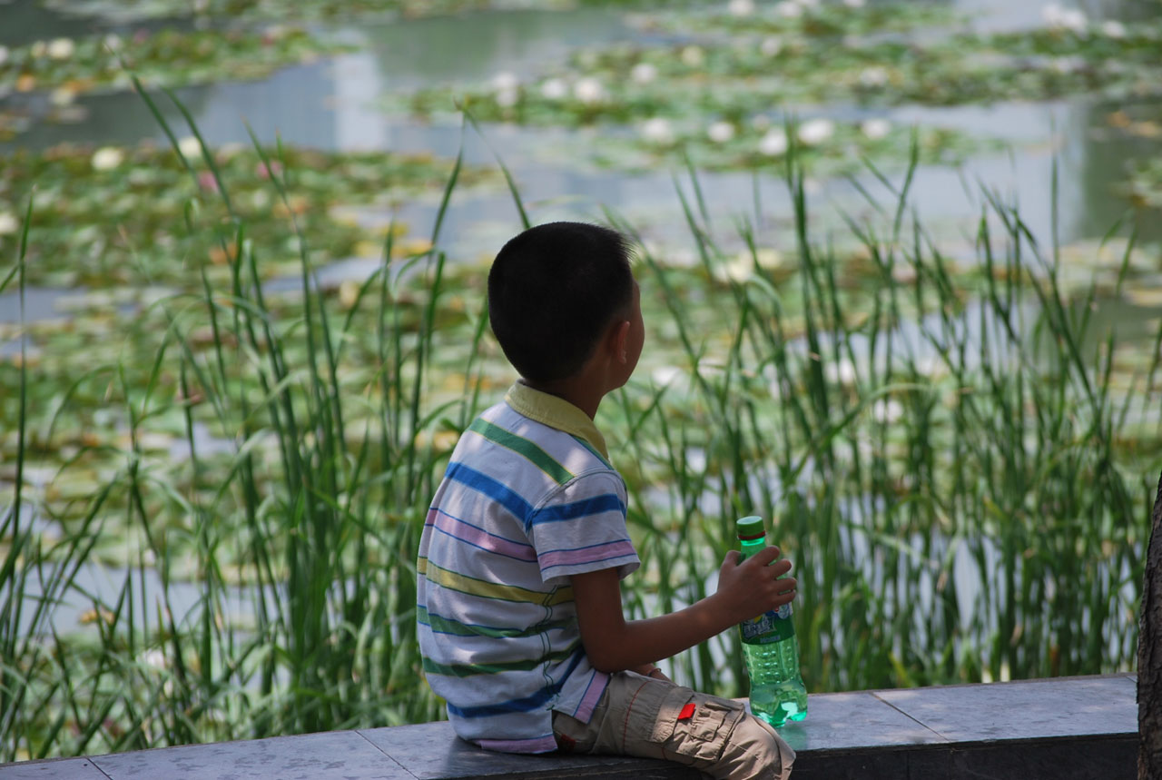 boy young child free photo