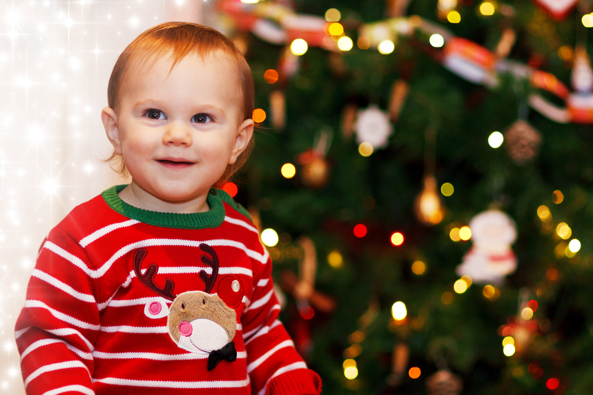 young boy child christmas free photo