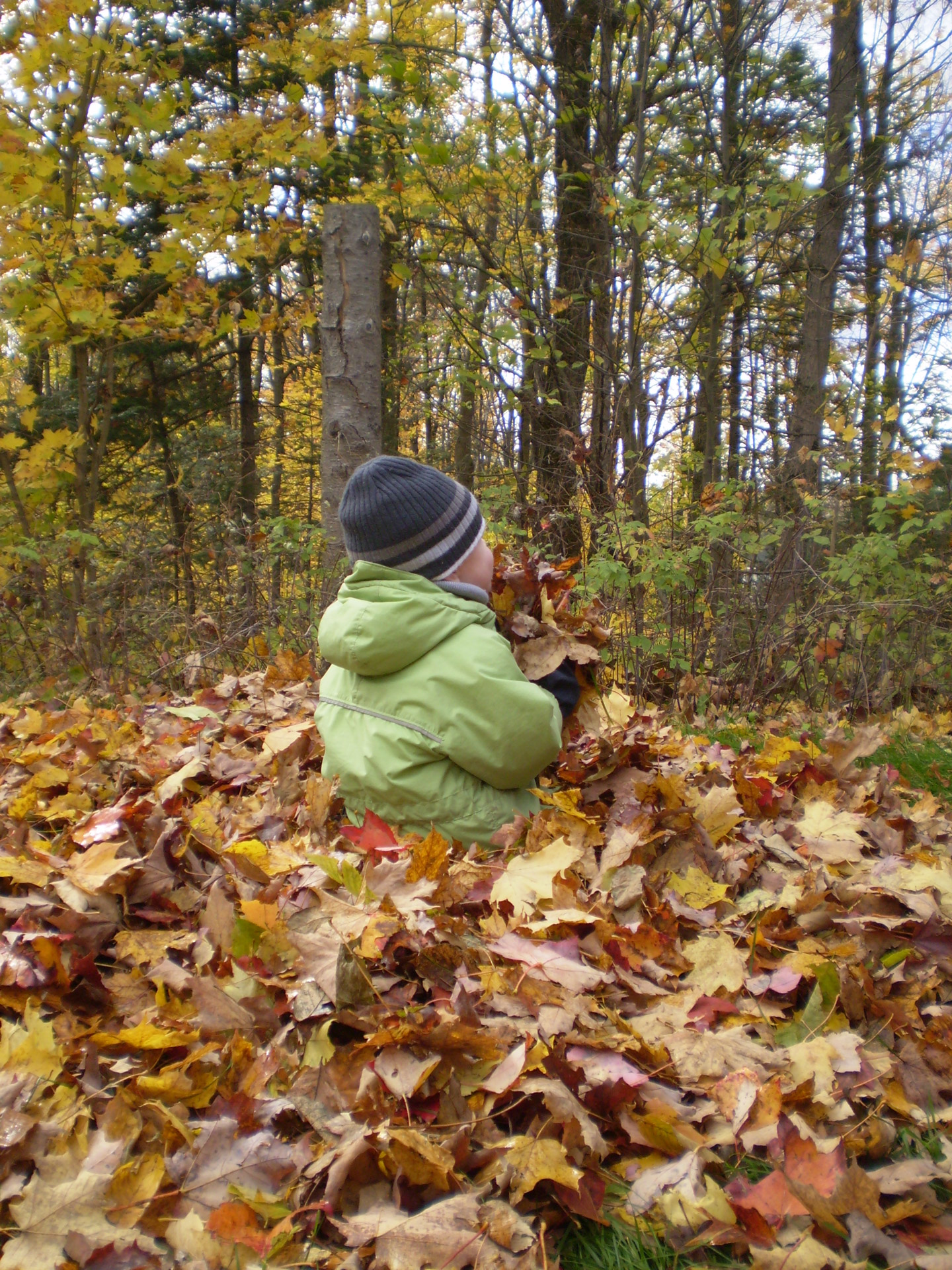 autumn boy color free photo