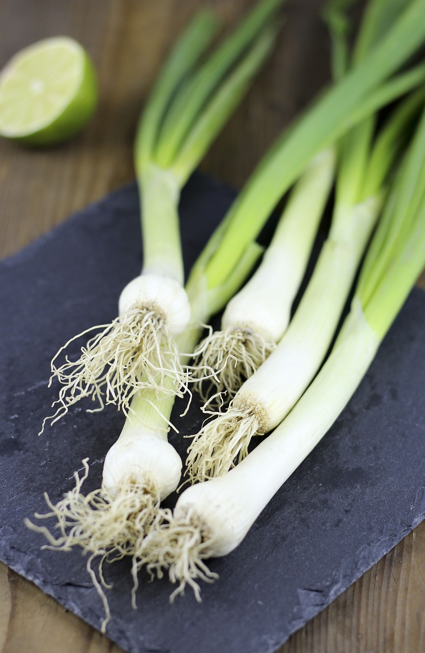 young onion green mediterranean free photo