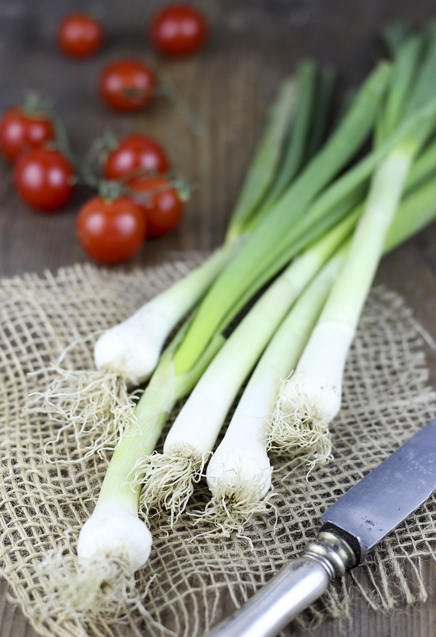 young onion green mediterranean free photo