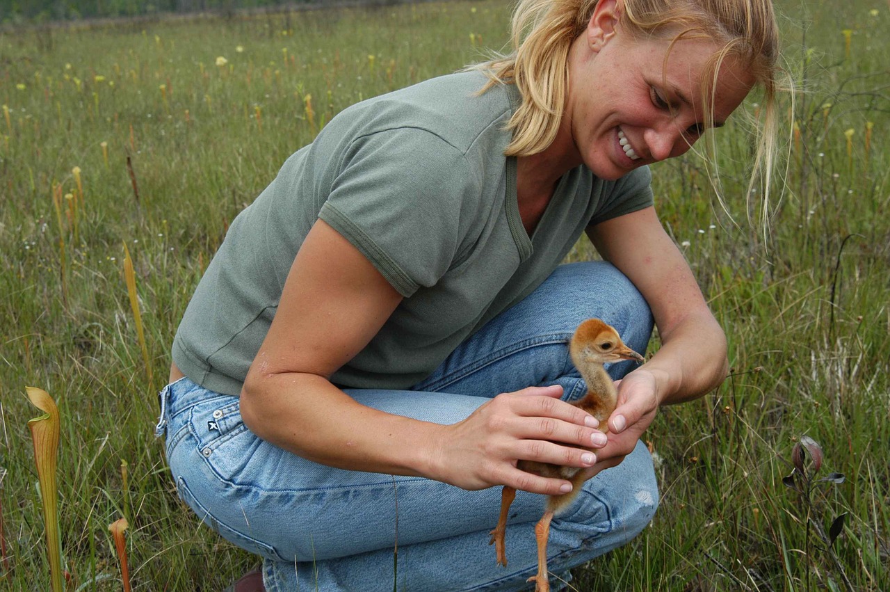 young woman and chick chick duckling free photo