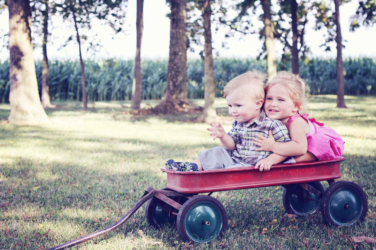 youth children wagon free photo