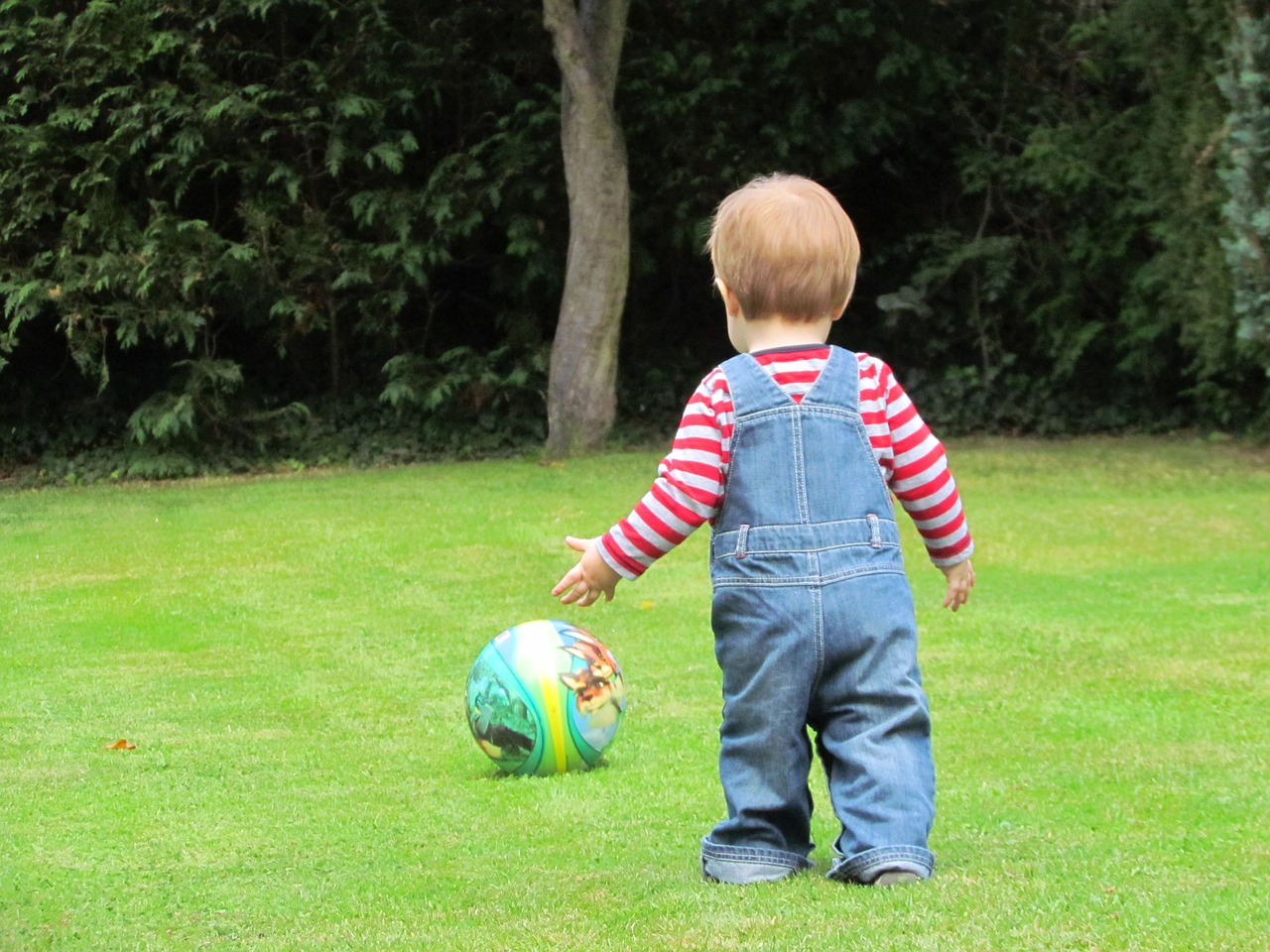 youth play garden free photo