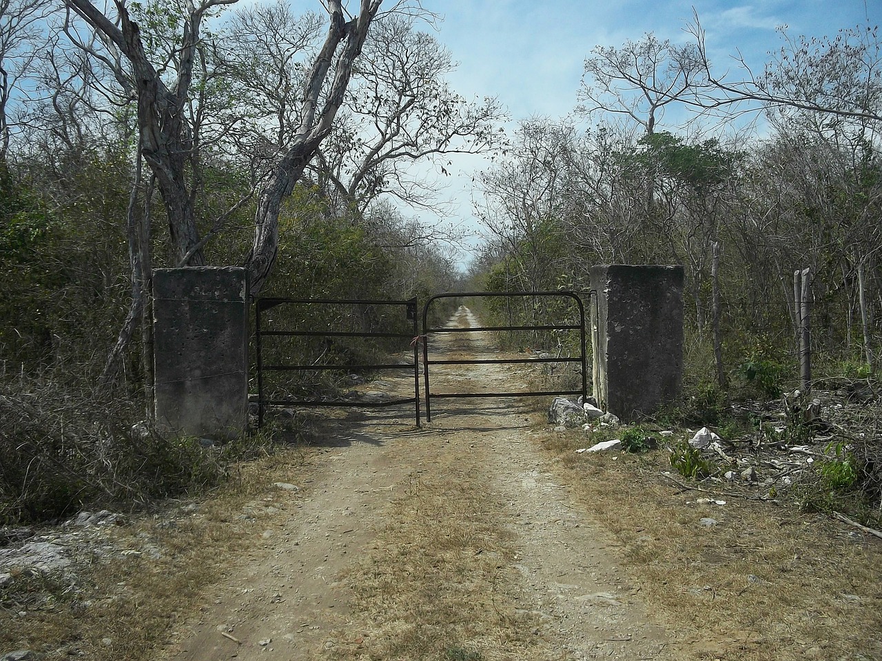 yucatan mexico landscape free photo
