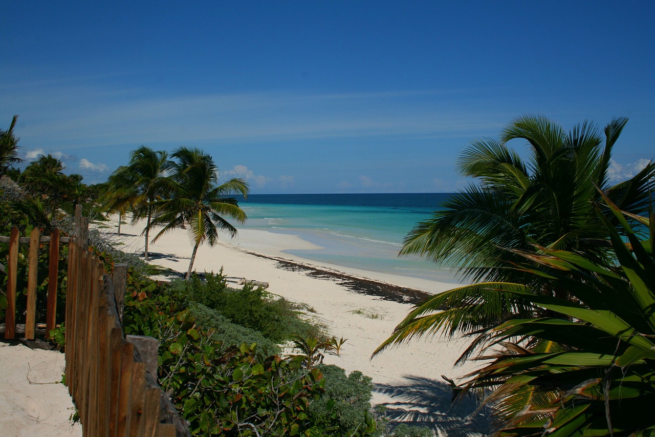 yucatan mexico beach free photo
