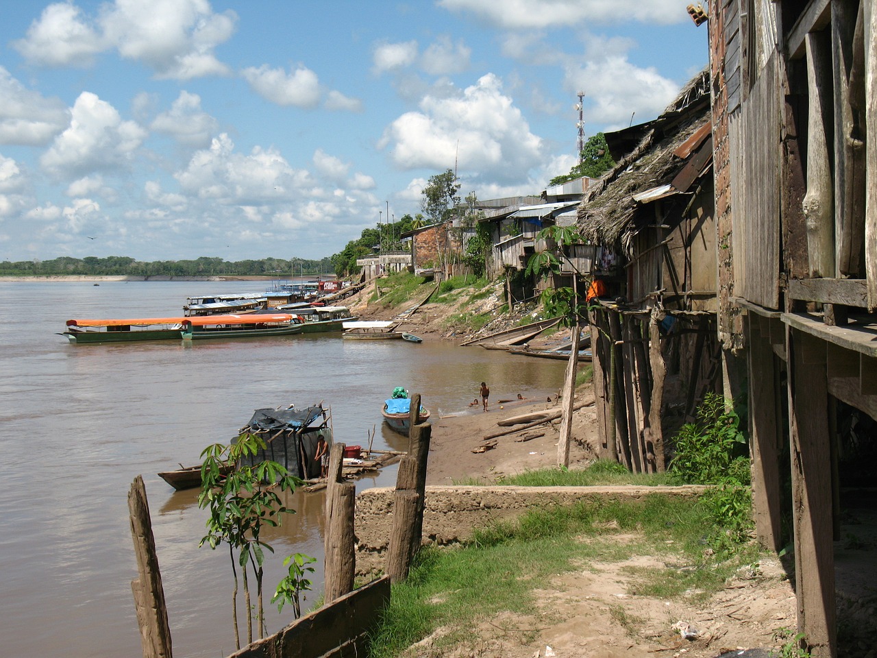 yurimaguas river river bank free photo