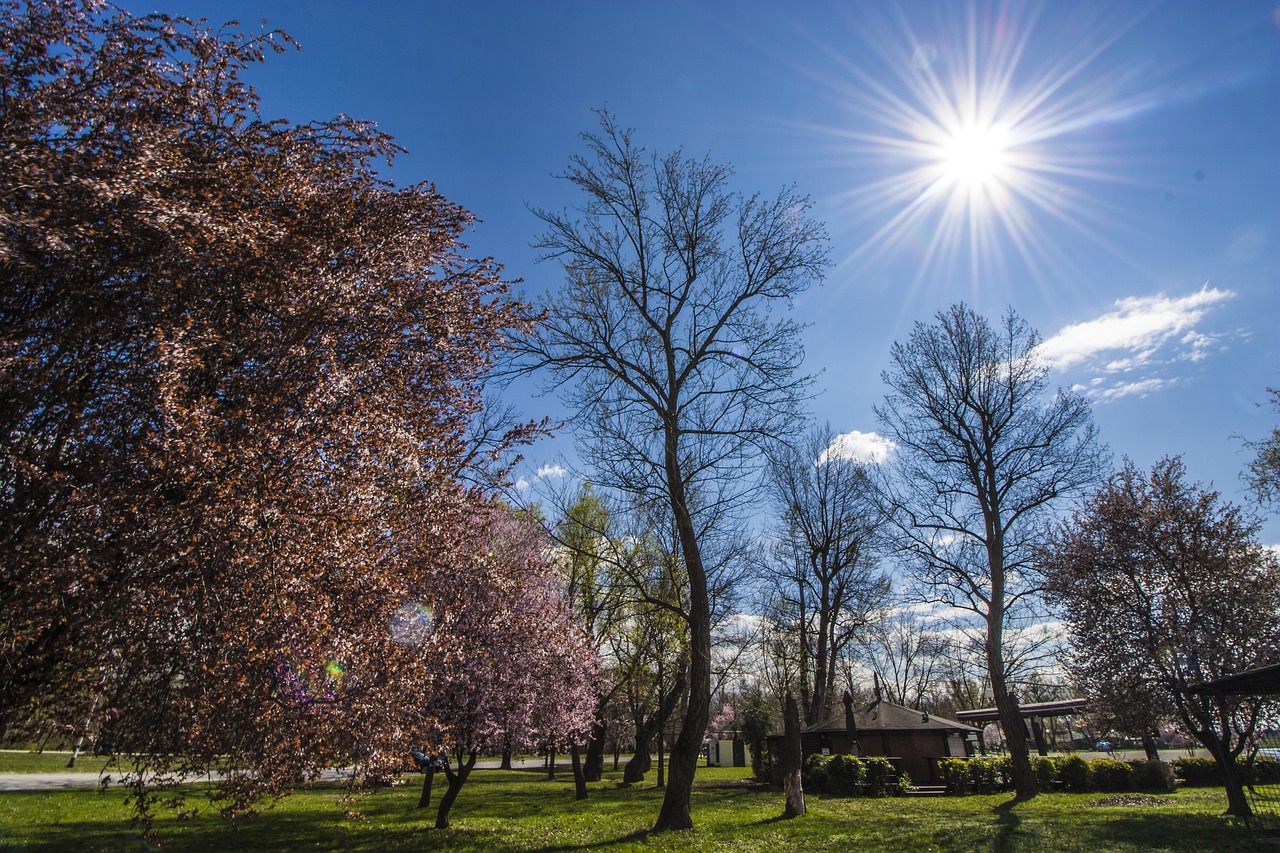 zagreb jarun park bright free photo