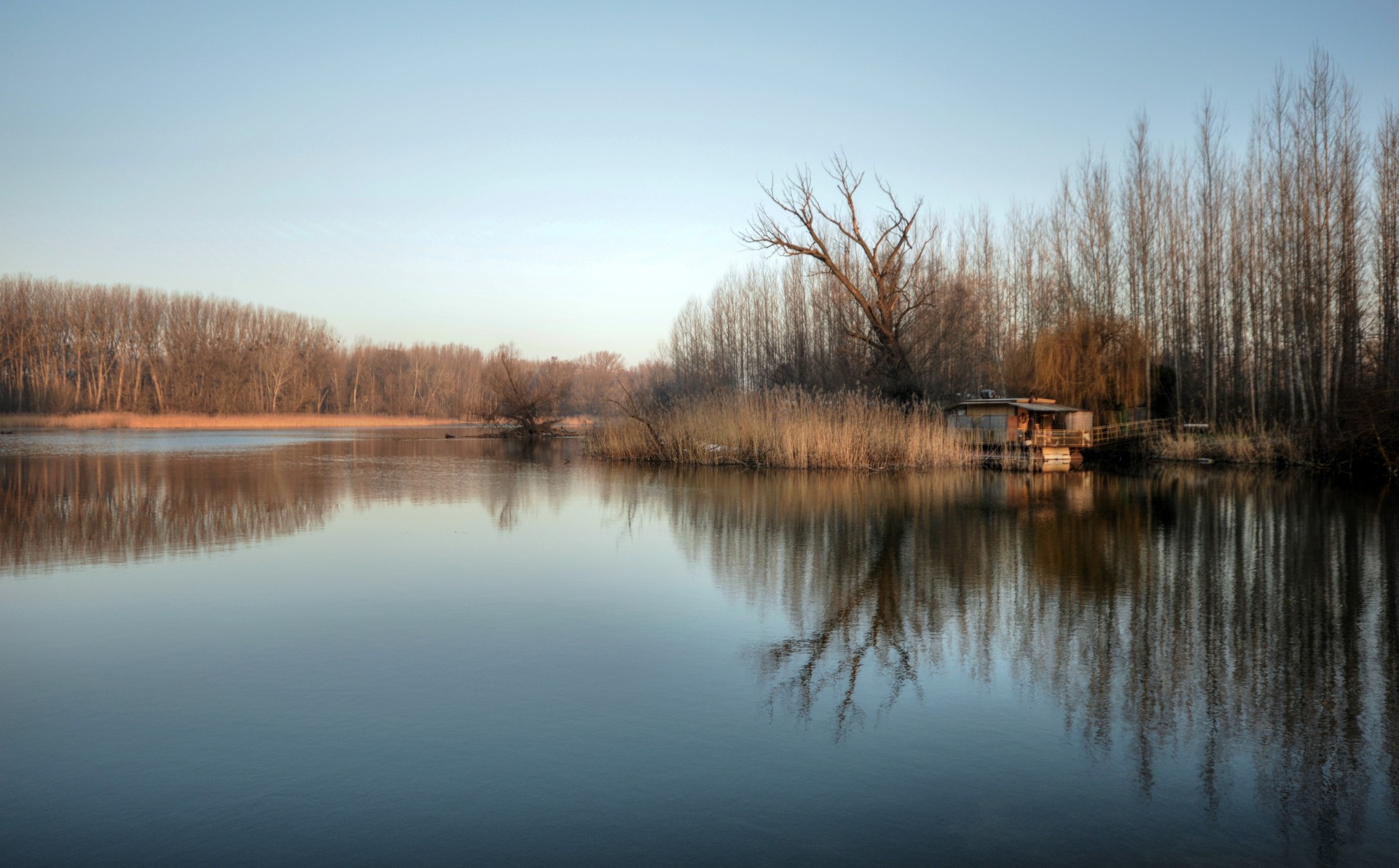 danube wetlands shoulder free photo