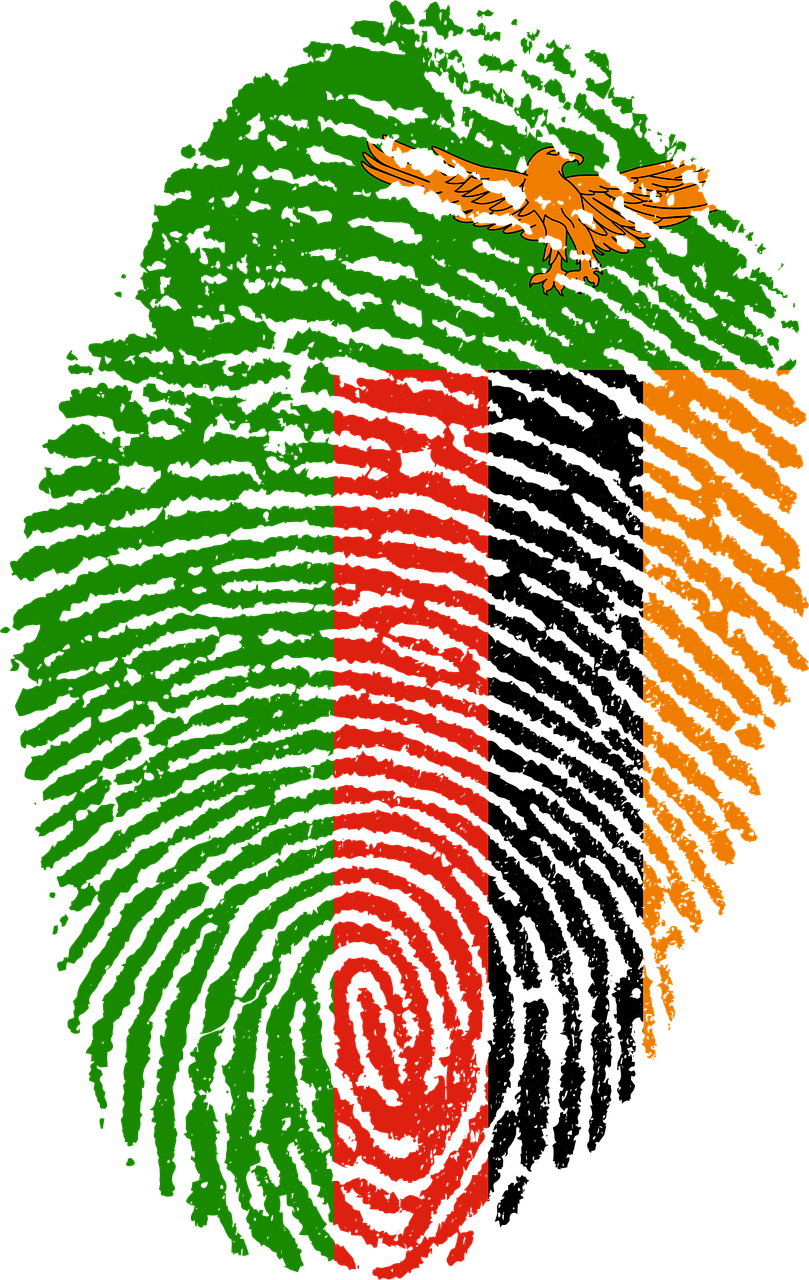 zambia flag fingerprint free photo