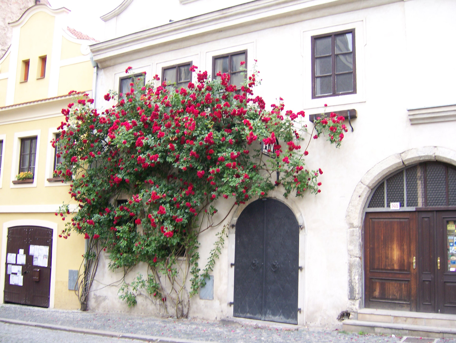 castle pacov castle pacov free photo