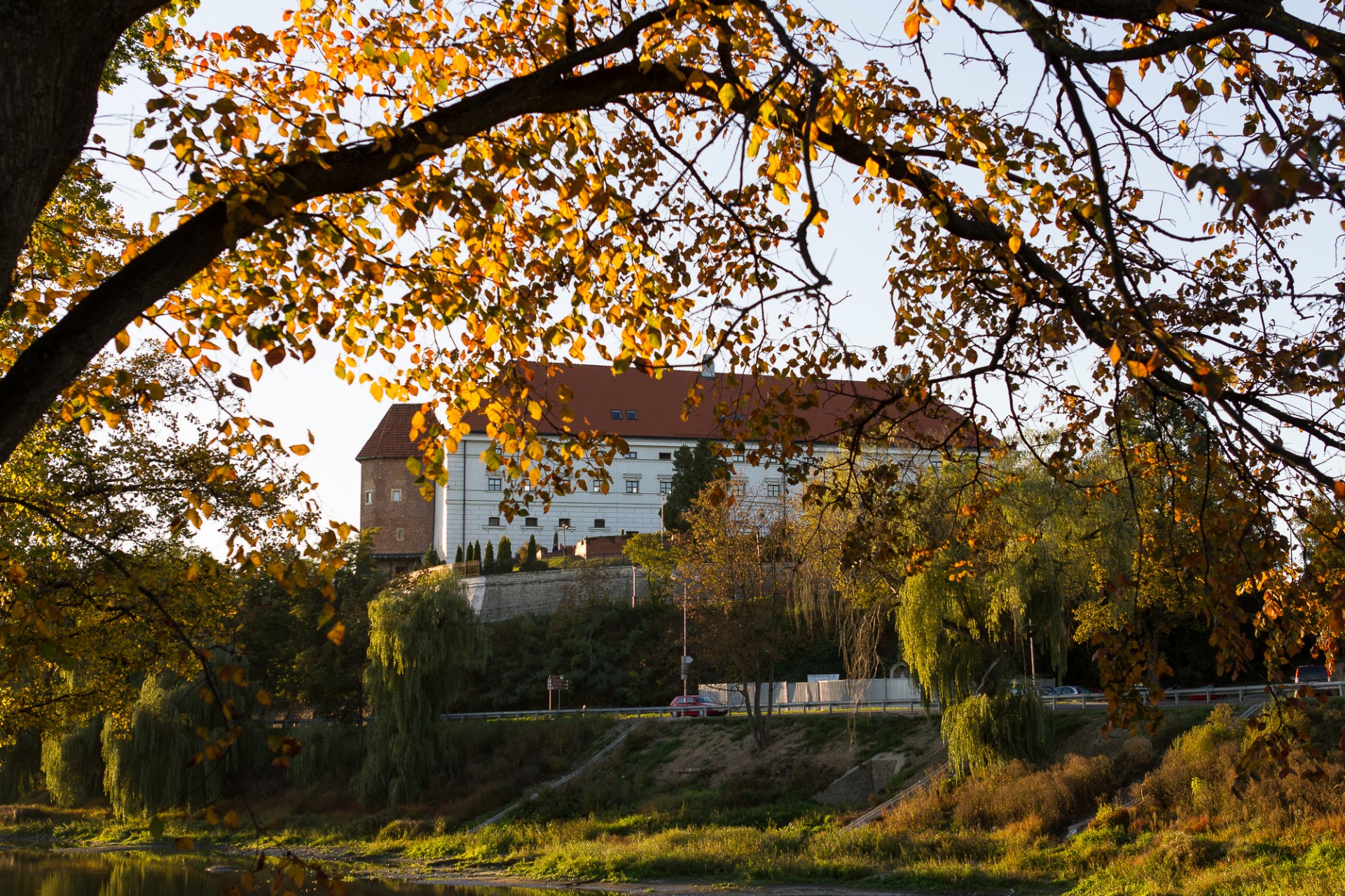 the castle sandomierz royal free photo