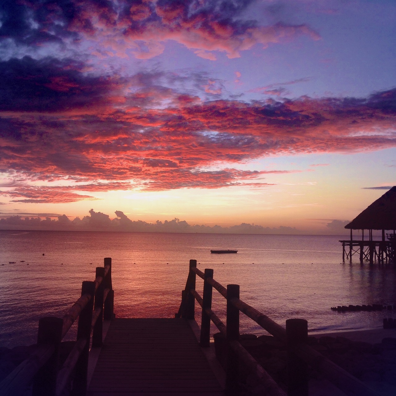 zanzibar beach relax free photo