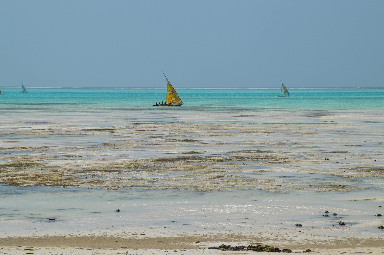 zanzibar tanzania africa free photo