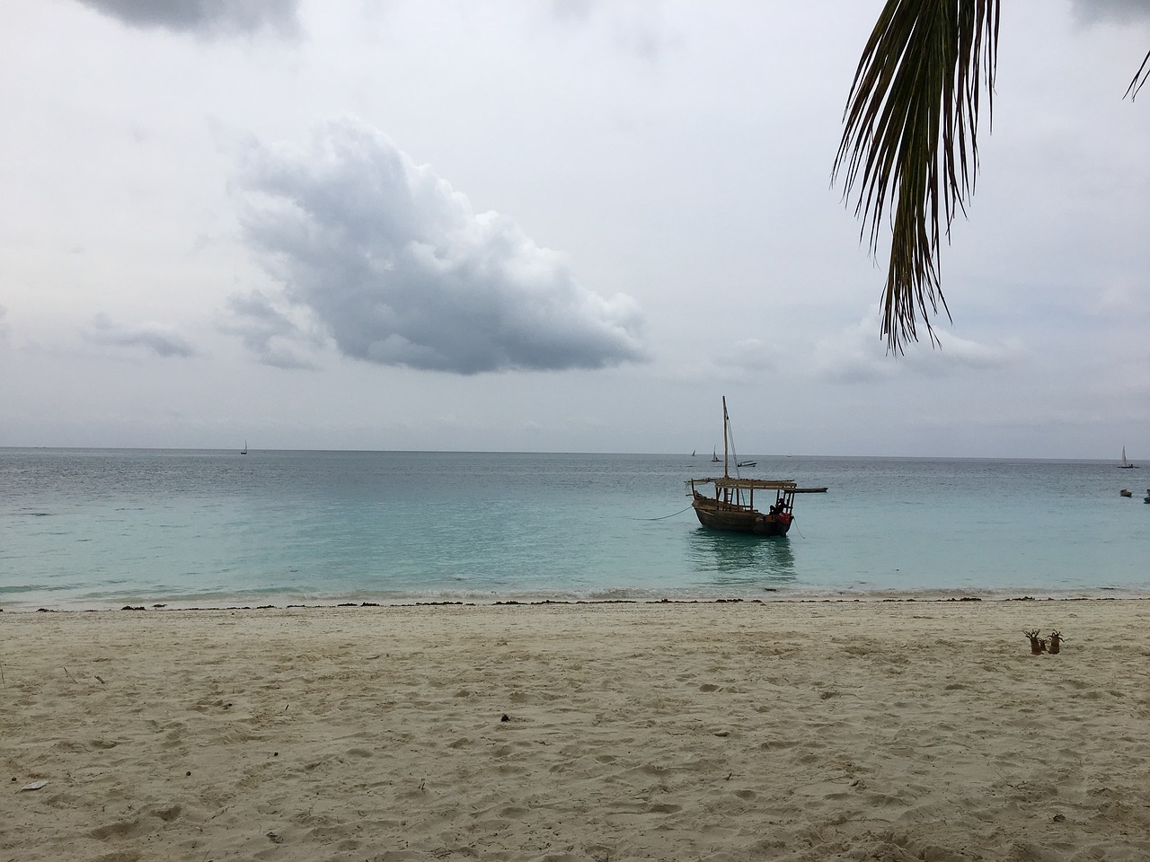 zanzibar ocean africa free photo