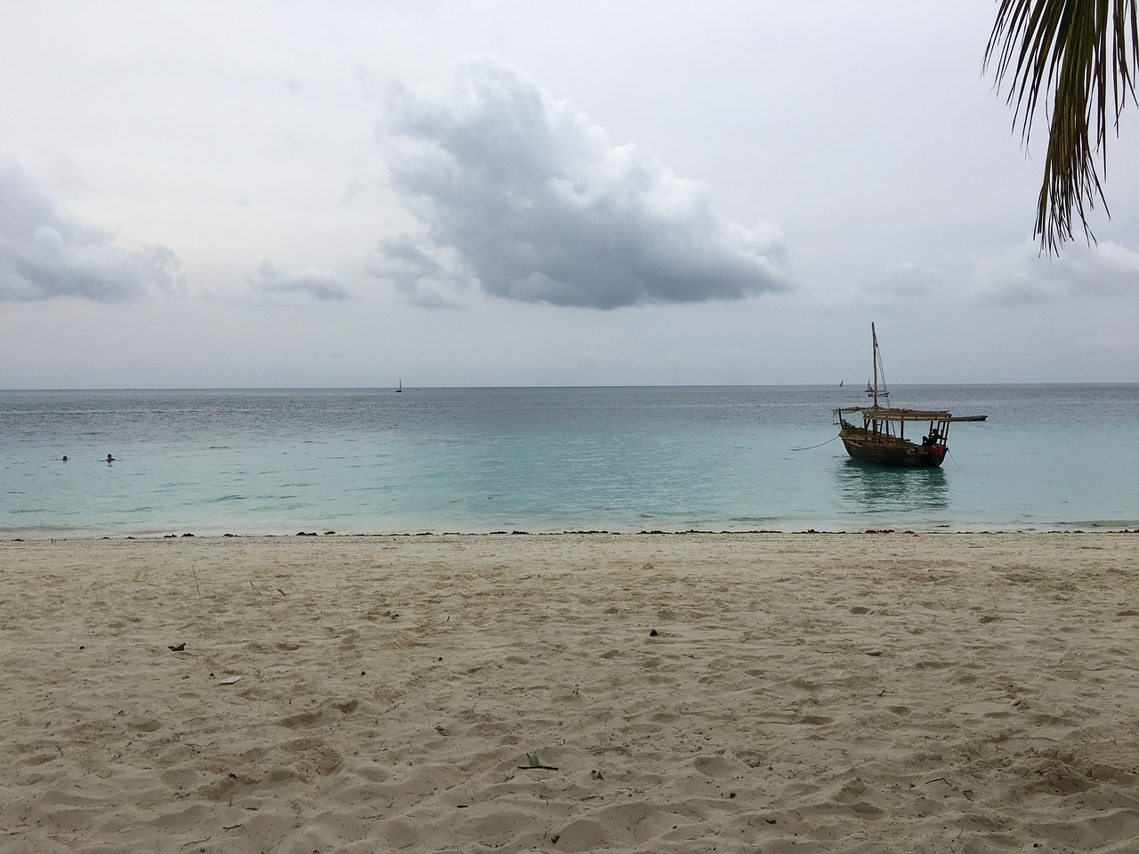 zanzibar ocean africa free photo