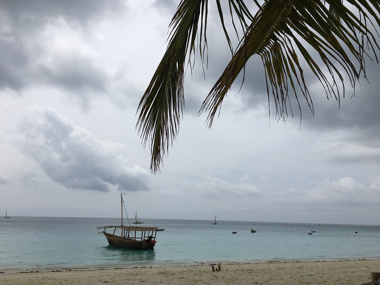 zanzibar ocean africa free photo