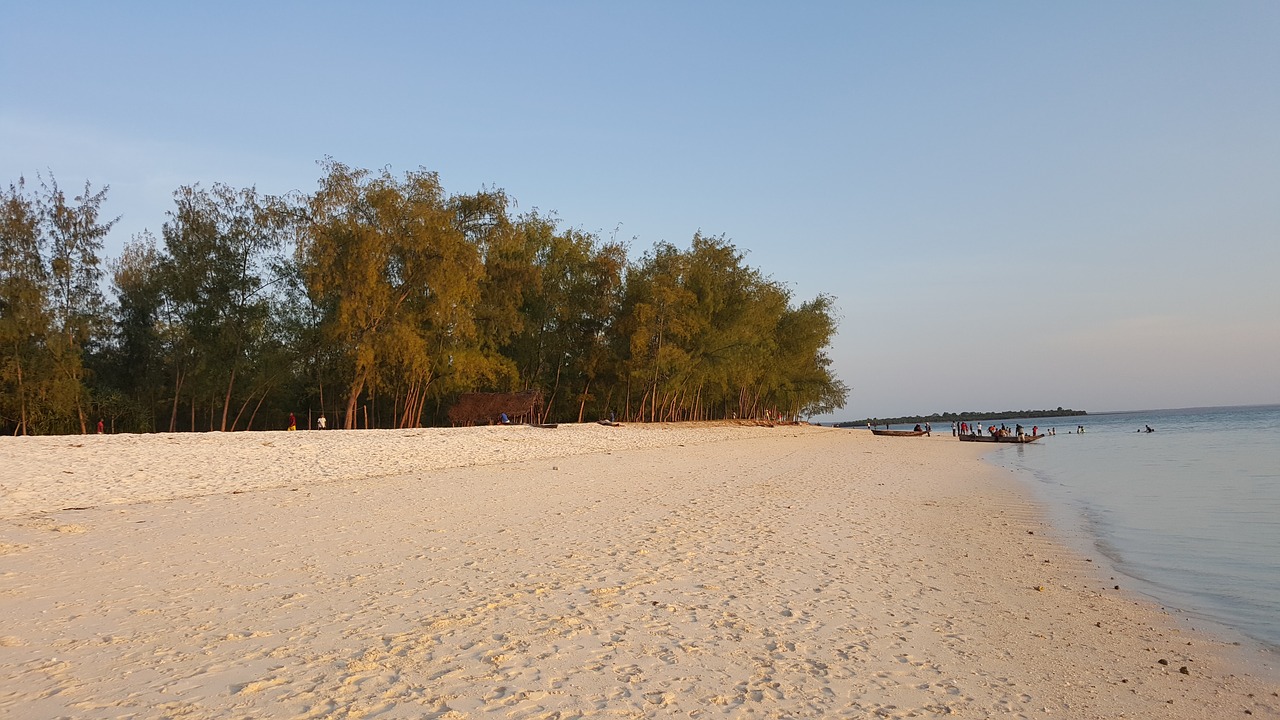 zanzibar kendwa beach free photo