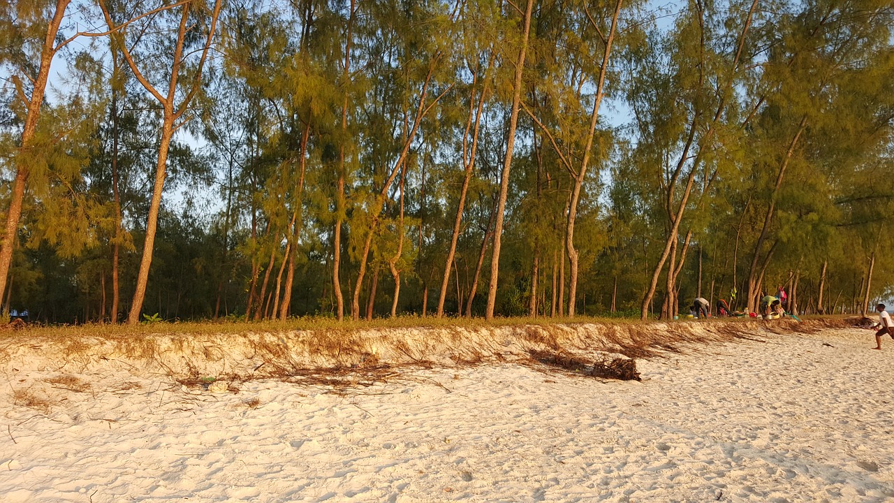 zanzibar kendwa tranquil free photo