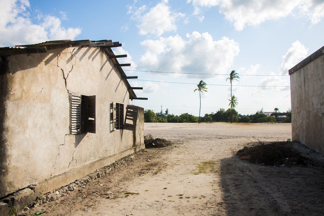 zanzibar  house  street free photo