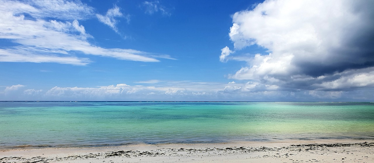 zanzibar  seaside  coastal free photo