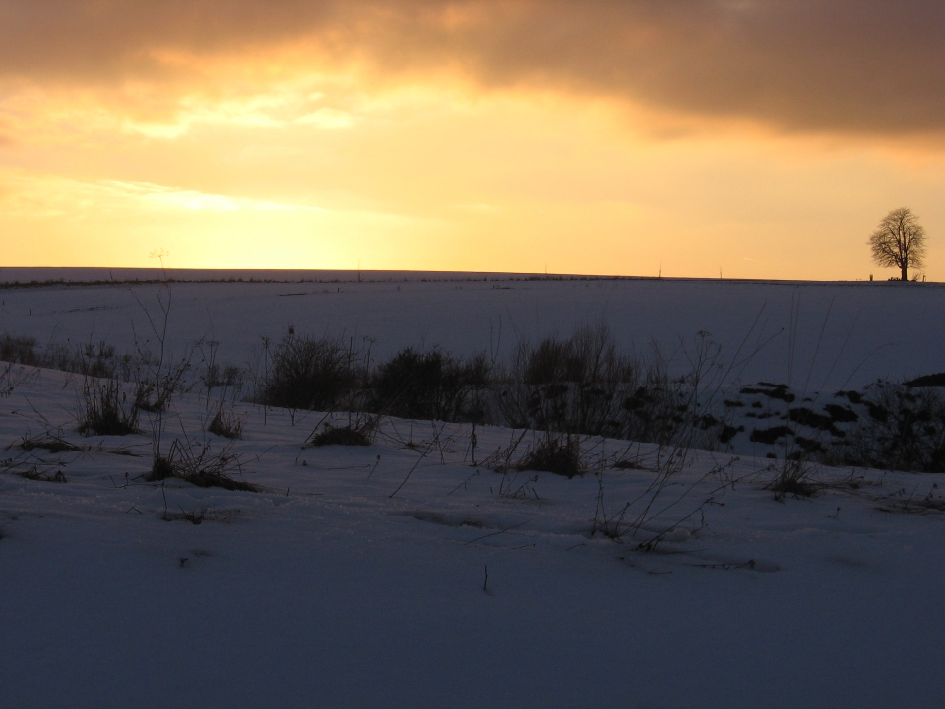 sunset snow winter free photo