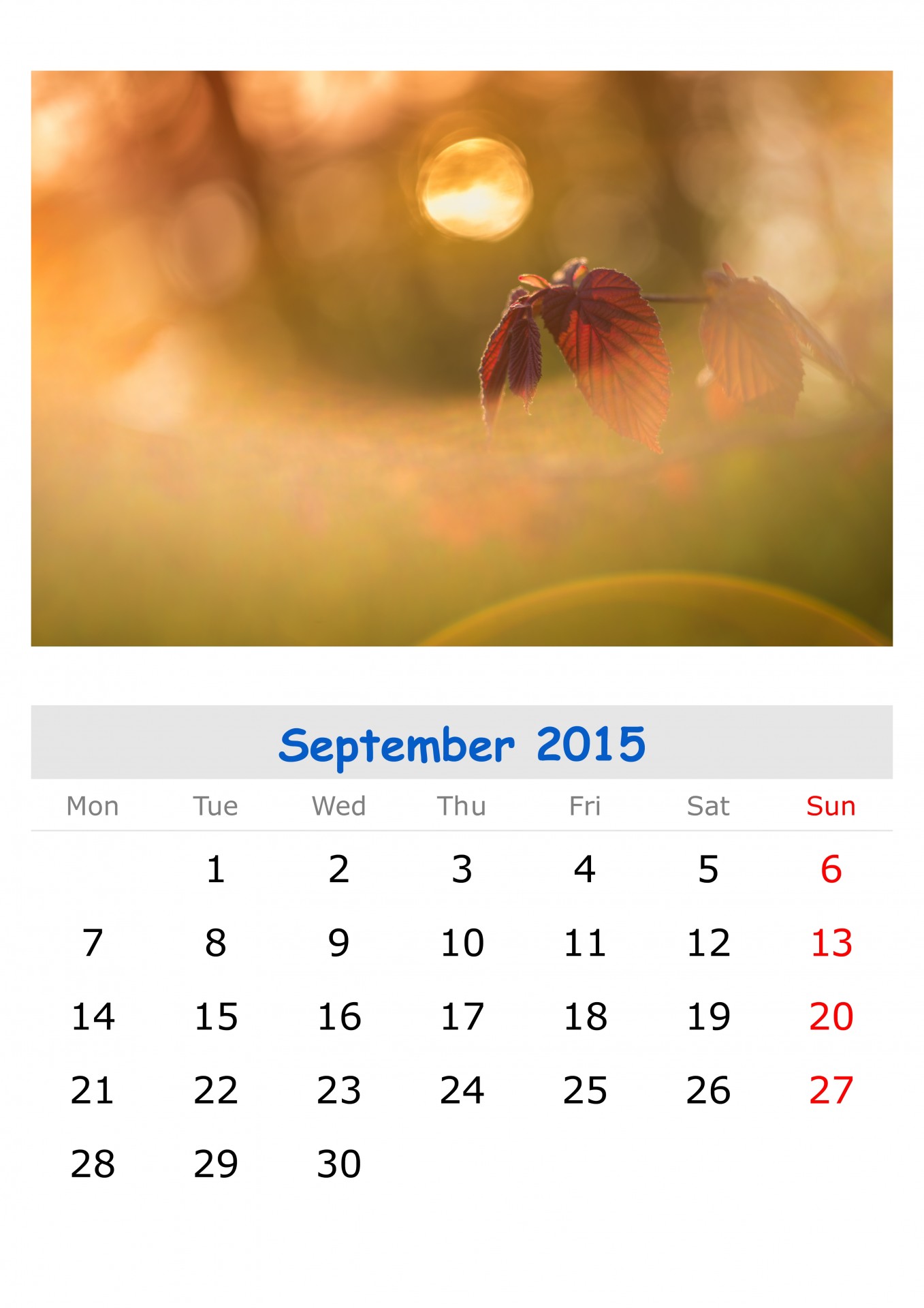 calendar year days free photo