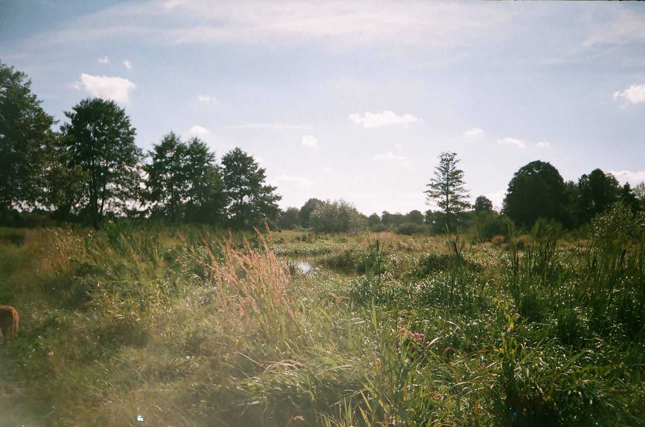 scrub river lublin free photo