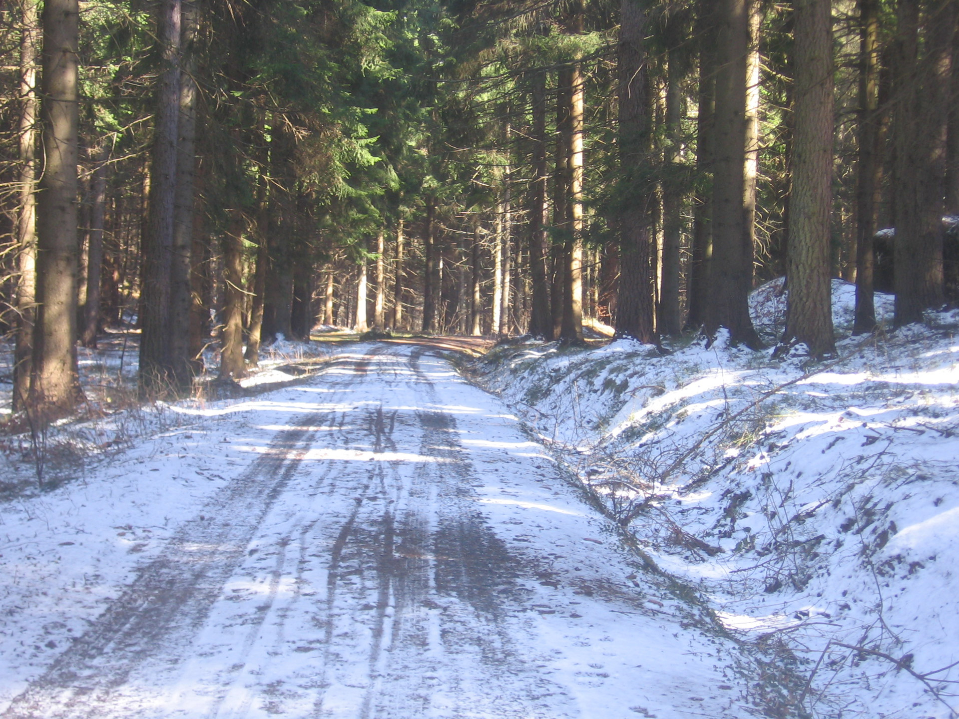 road snow trees free photo