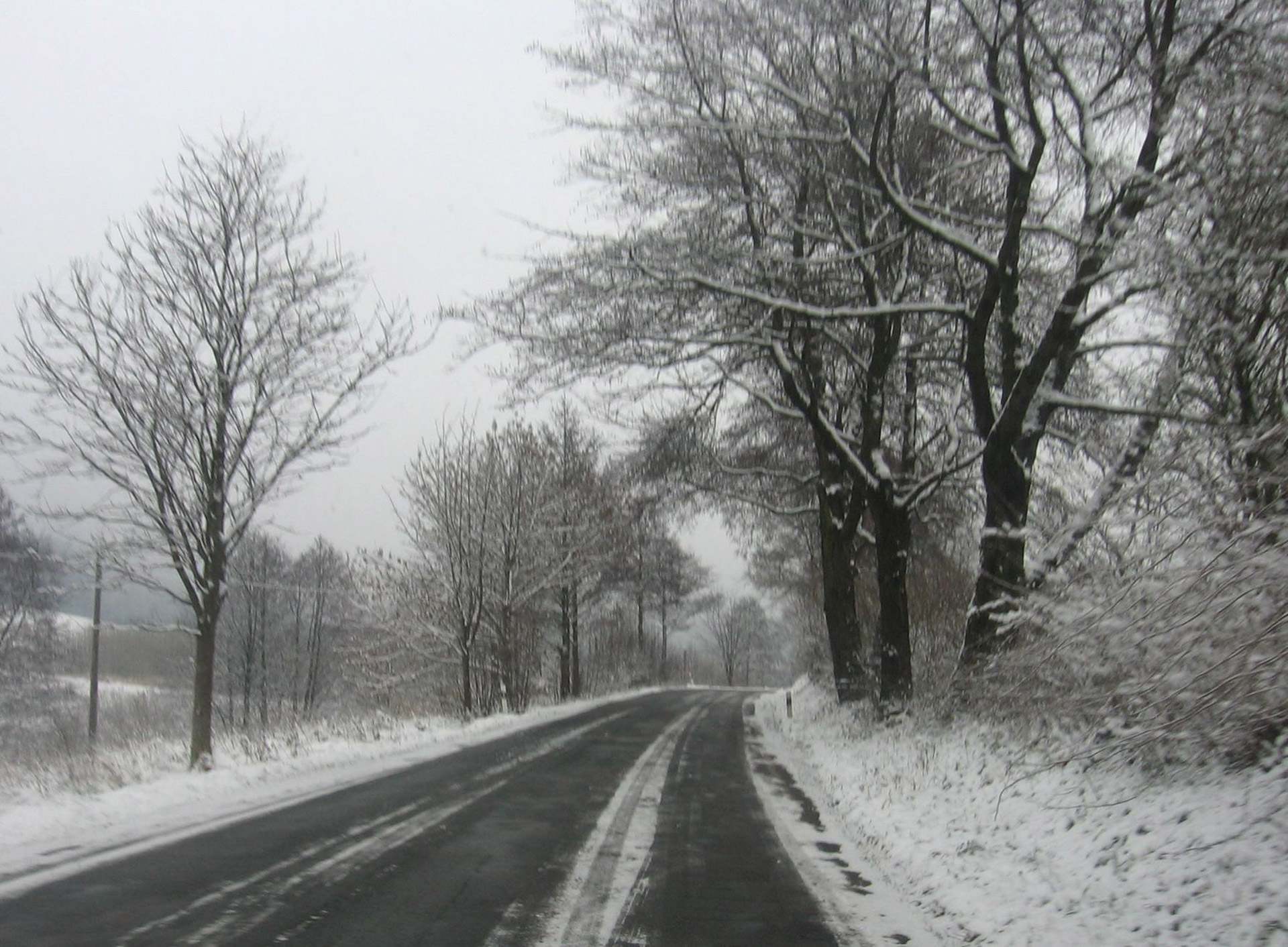 snow roads trees free photo