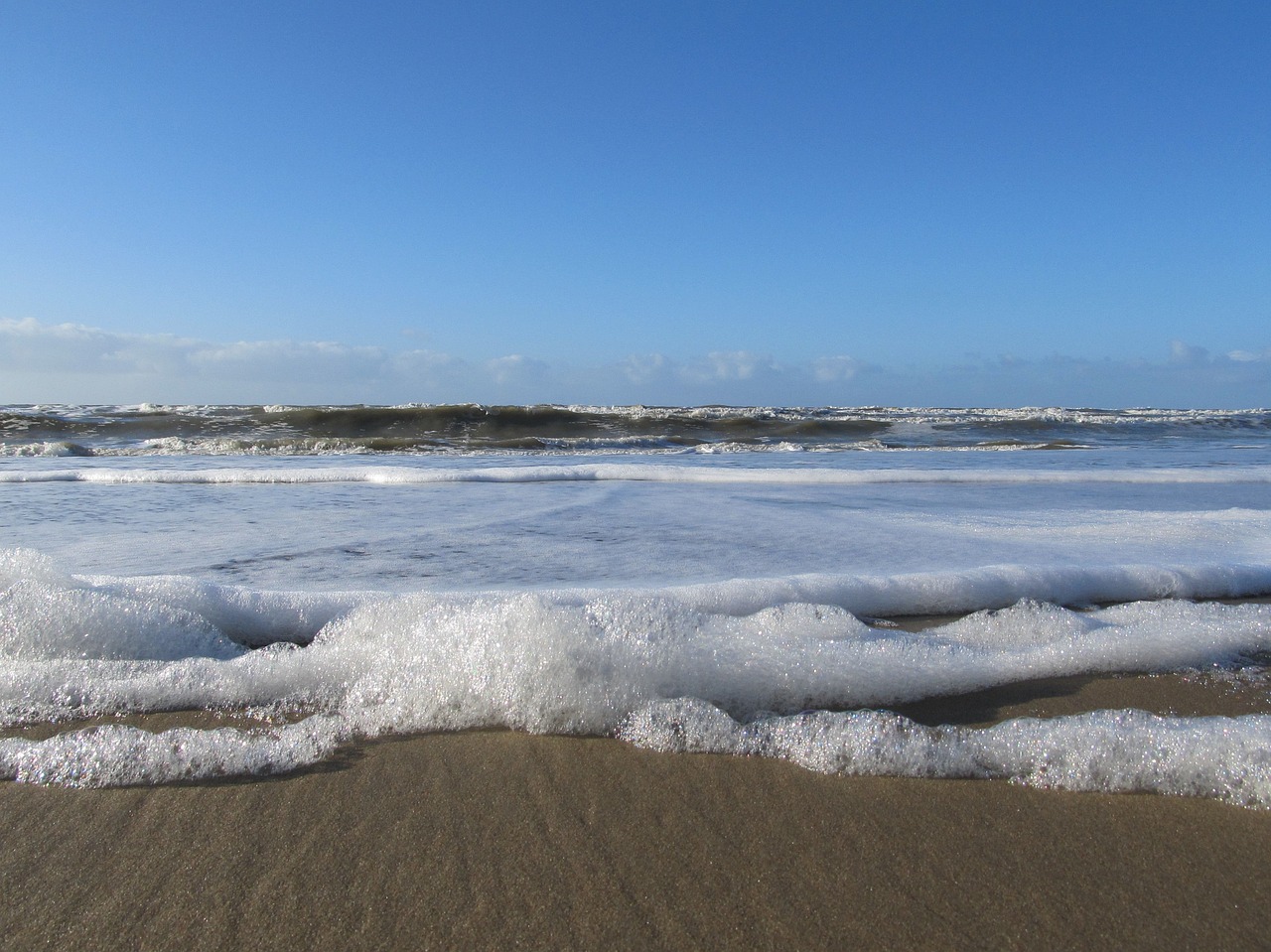 zealand beach nature free photo