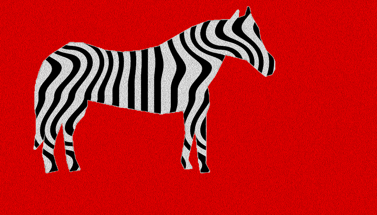 zebra texture animal free photo