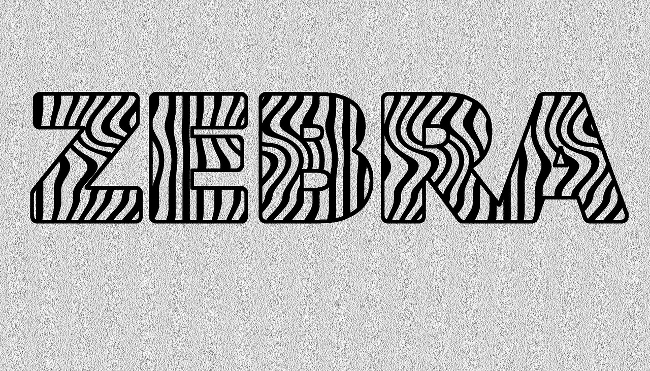 zebra word-art wild free photo