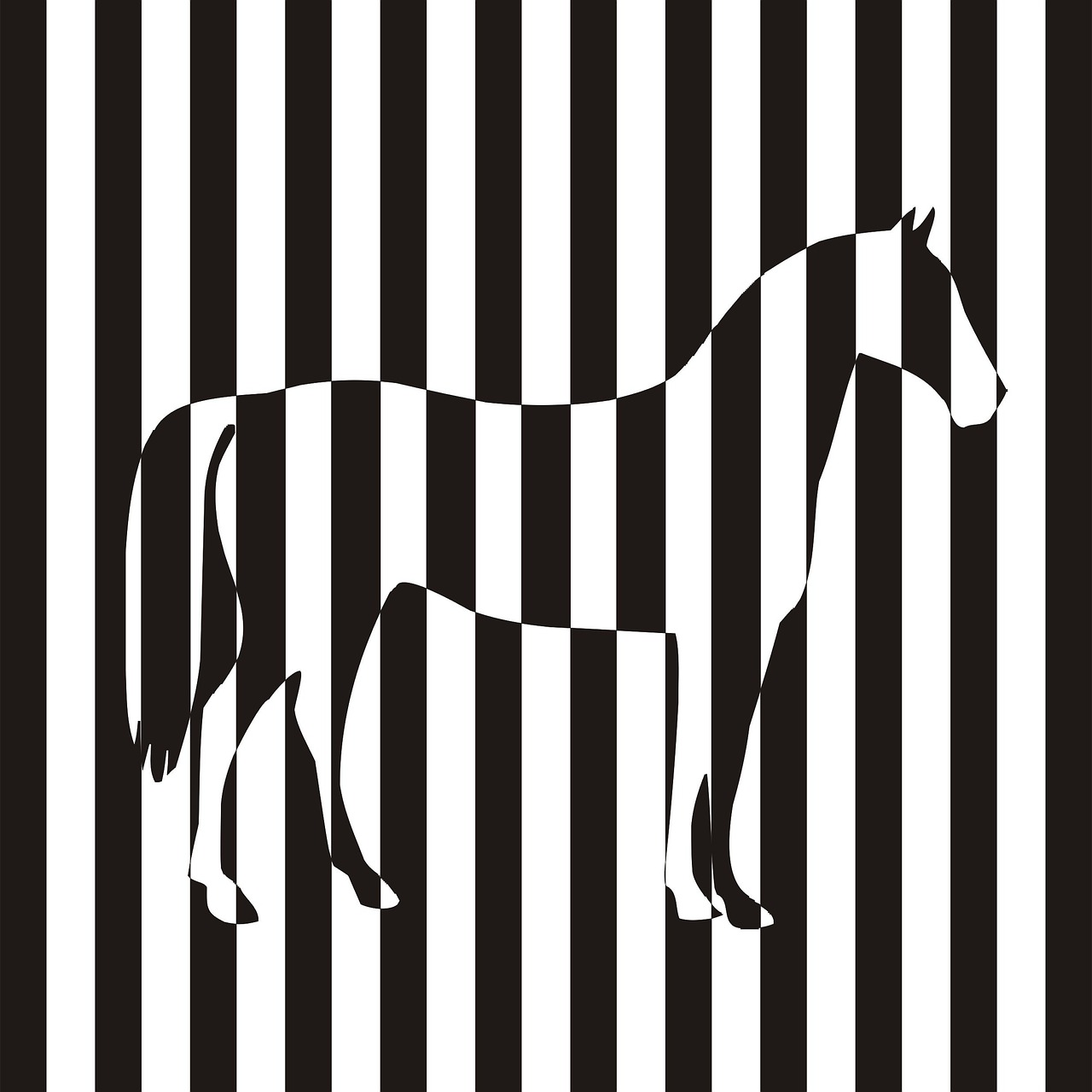 zebra the horse vector animal free photo